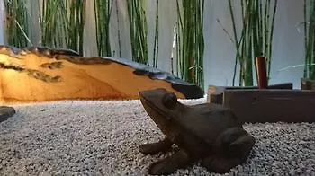 ホテルYadoya Kyoto Shimogamo 5*,  日本